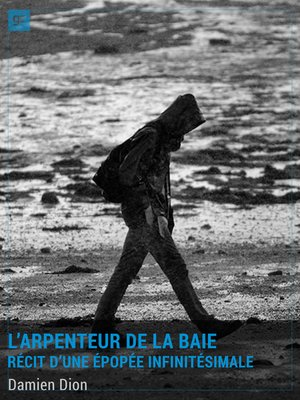 cover image of L'Arpenteur de la Baie